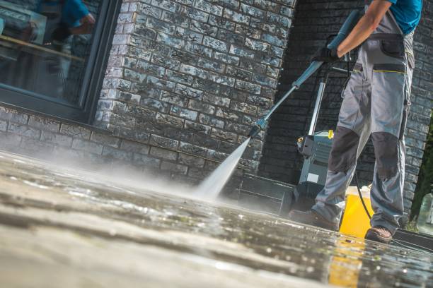 Trusted Hornell, NY Pressure Washing Services Experts