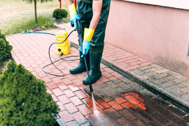 Best Building Exterior Washing  in Hornell, NY