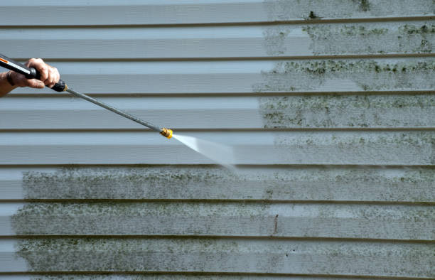 Best Patio and Deck Pressure Washing  in Hornell, NY